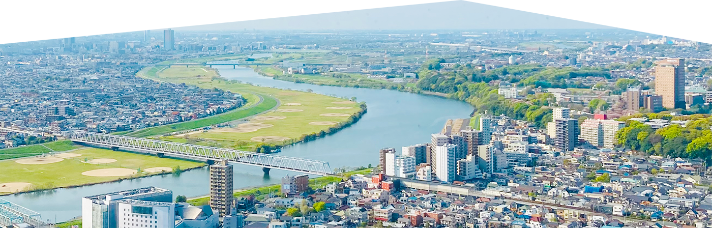 サブビジュアル